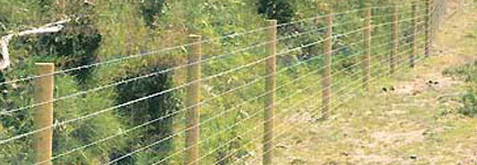 Site Fencing